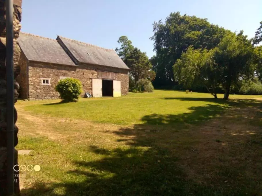 Taille de haie professionnelle